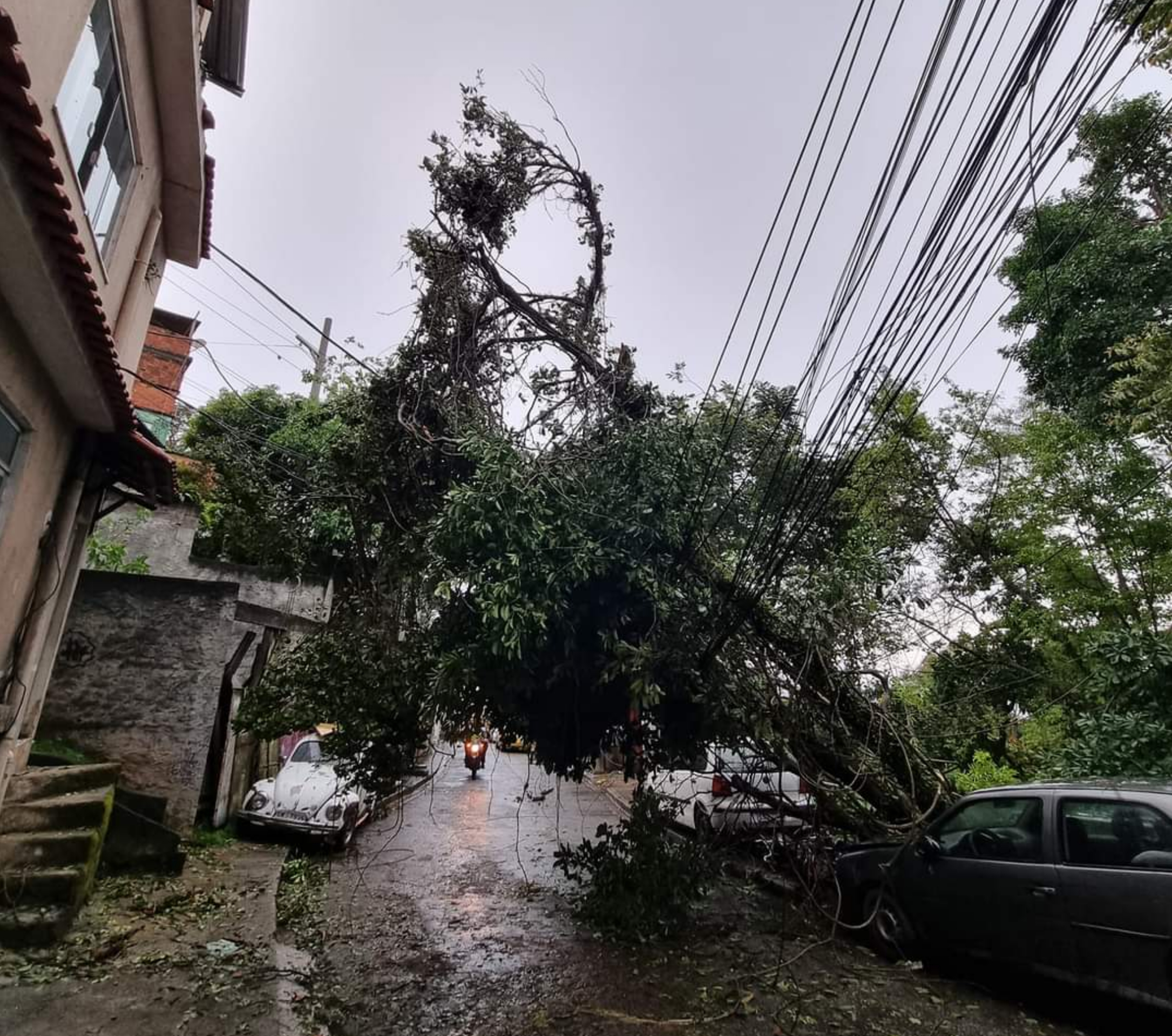 Foto: Reprodução / Parceiros do Vidiga
