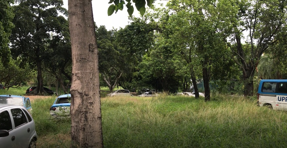 Foto: Arquivo pessoal