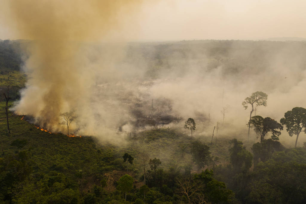 Queimada em um pasto próximo a rodovia Transamazônica, na zona rural de Apui, no sul do Amazonas (Foto: Lalo de Almeida - 20.ago.20/Folhapress)