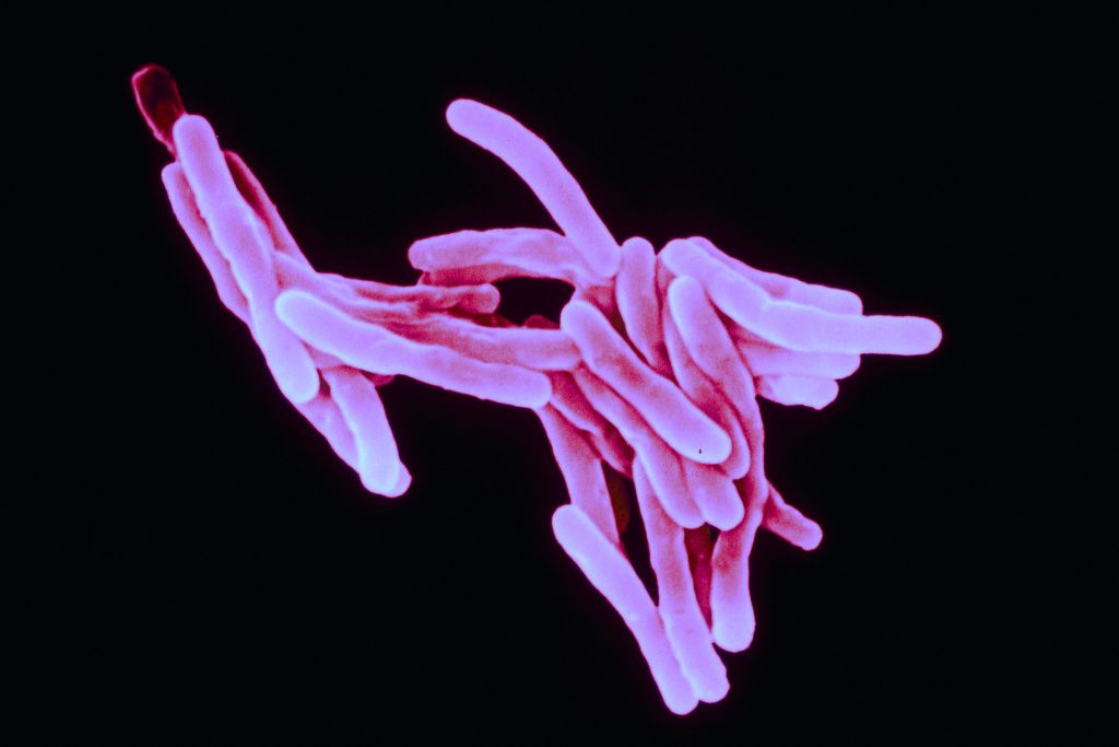 Foto: Vaccines of Sanofi